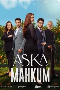 Заключенный любви